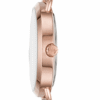 Montre Michael Kors Portia MK3845 Femme
